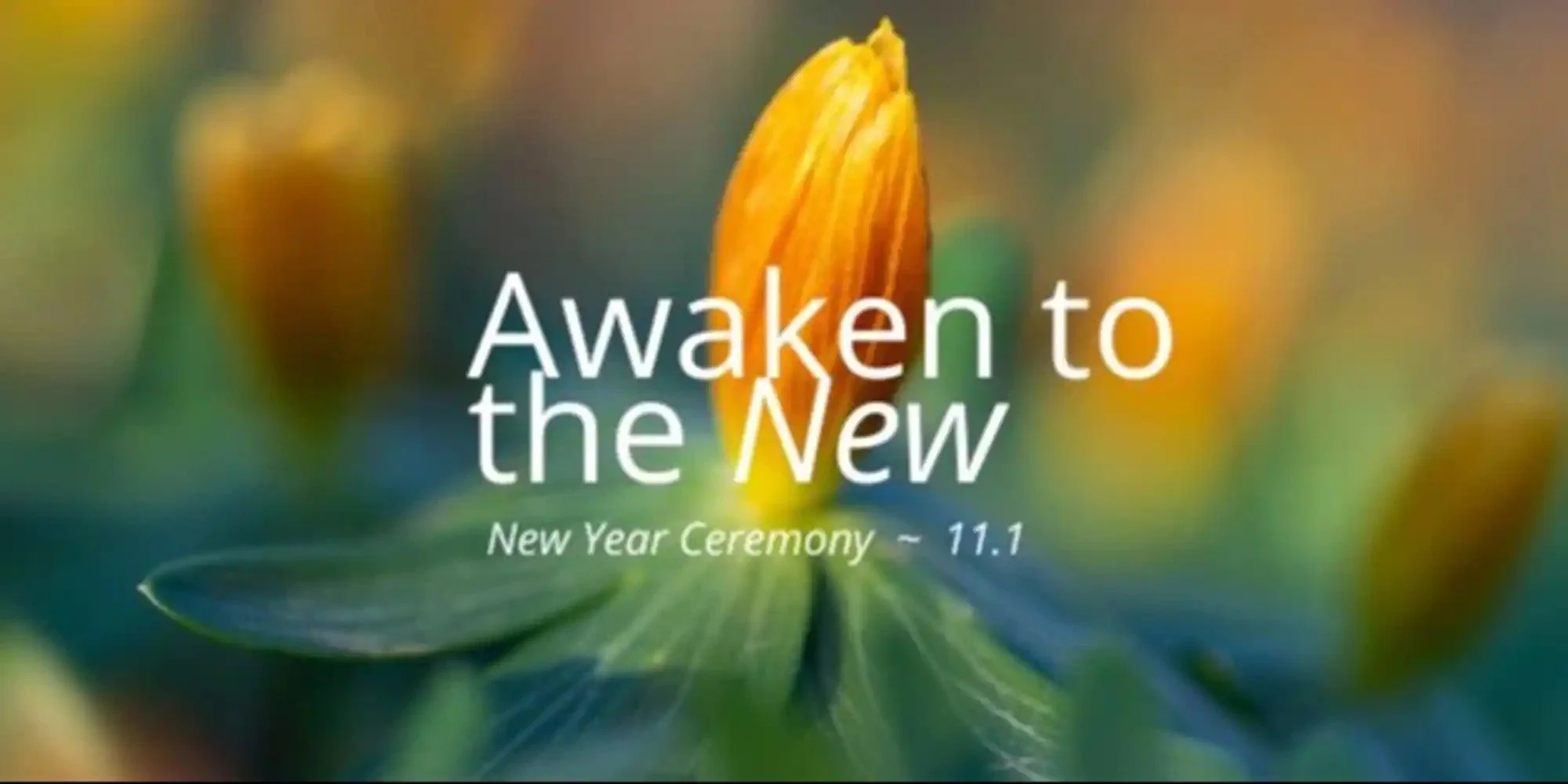 Awaken to the New
