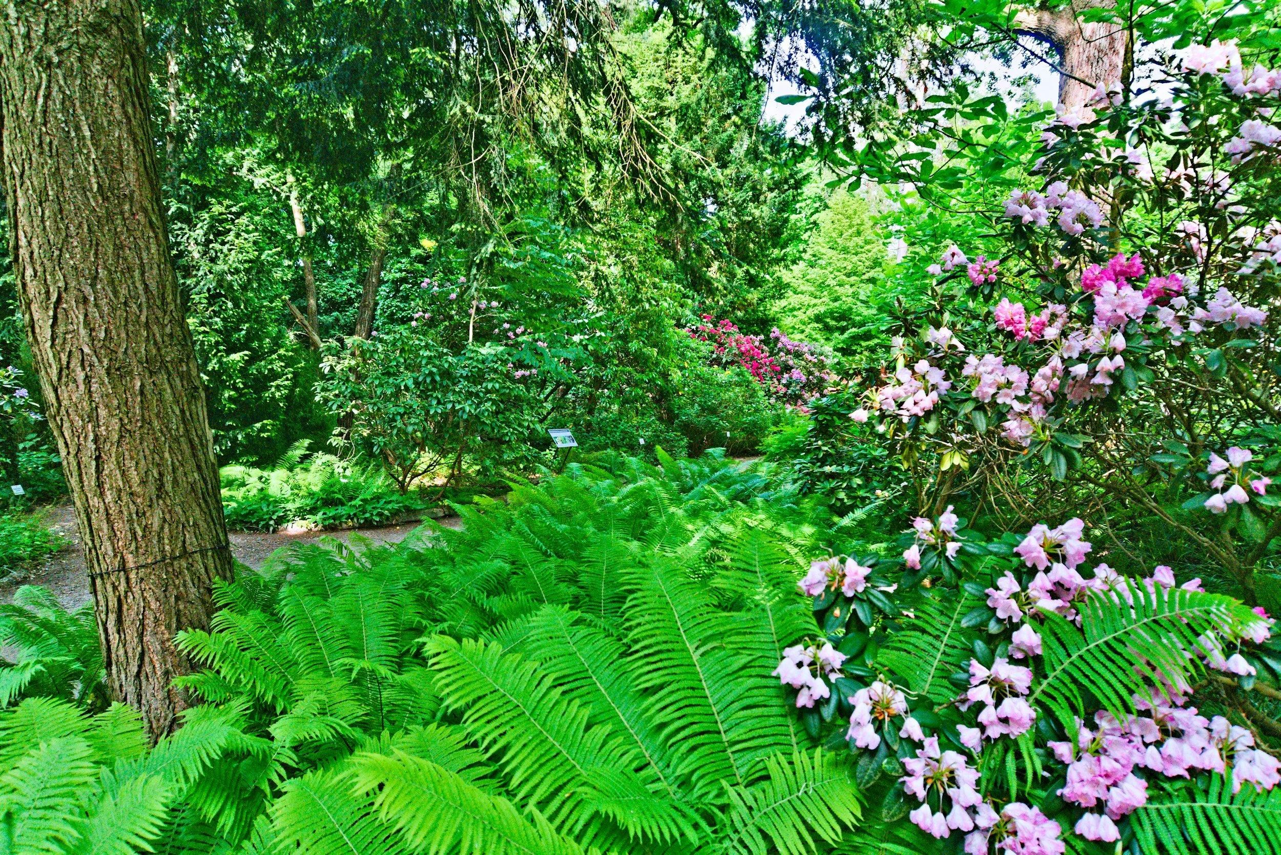 Movement, Walking &amp; Meditation in the Botanic Garden 