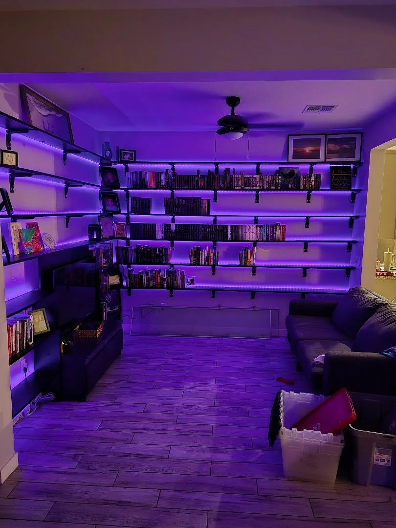 Shelves purple.jpg