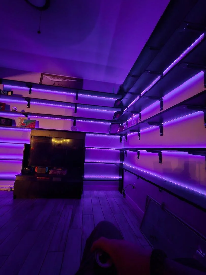 shelves purple2.jpg