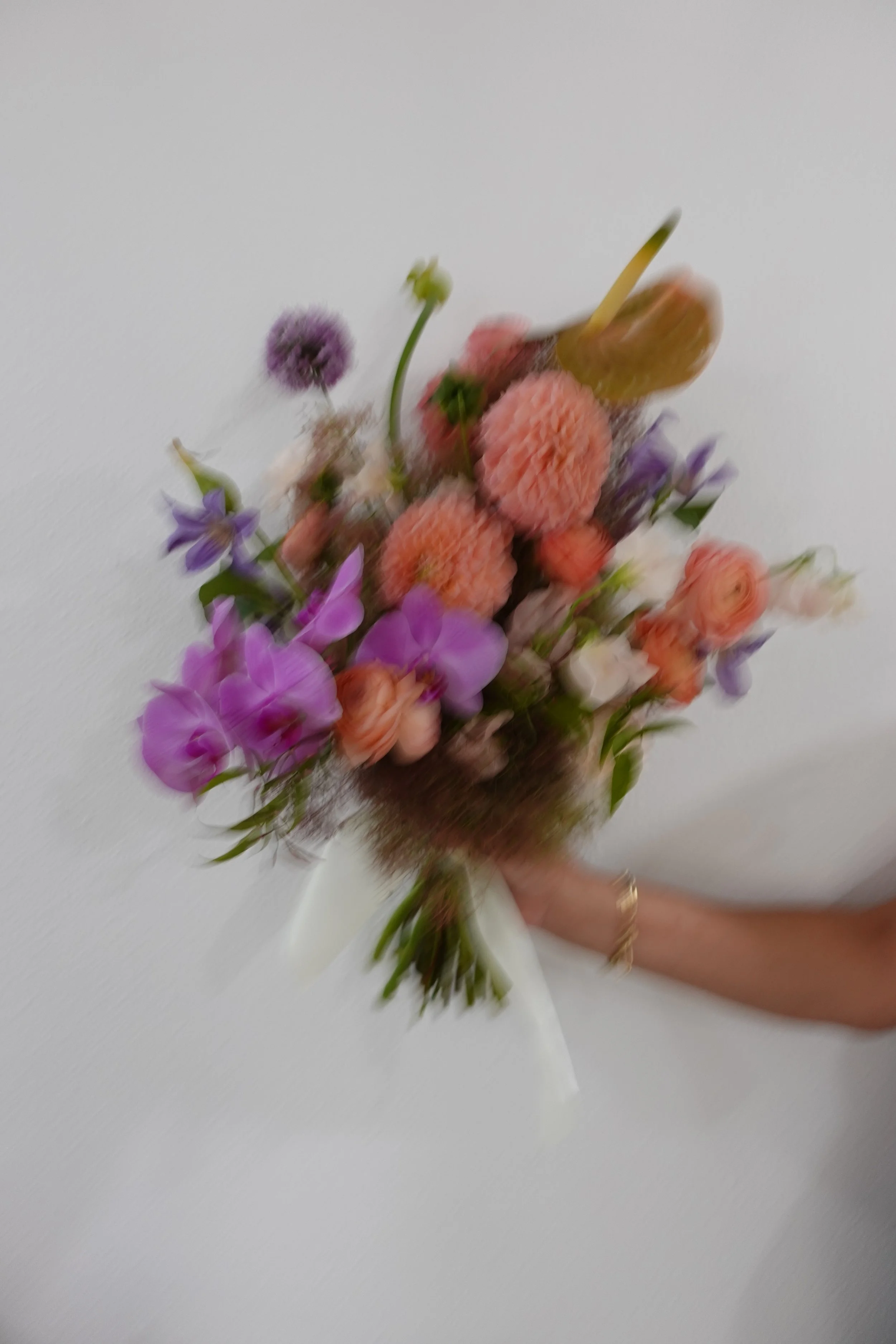 IMG_1717.jpeg