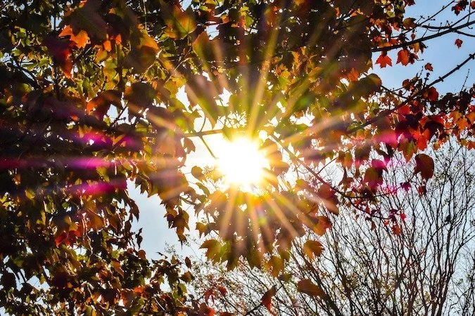 How Your Energy Levels and Attitudinal State Shape Your Reactions, Stress, and Leadership