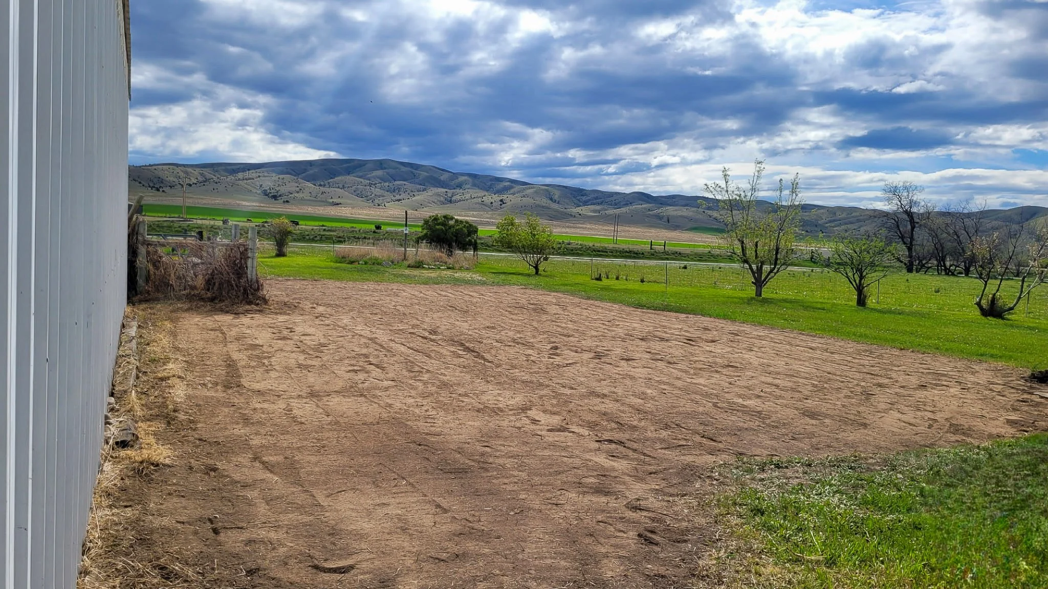 yard transformation old garden beds new yard grass seed
