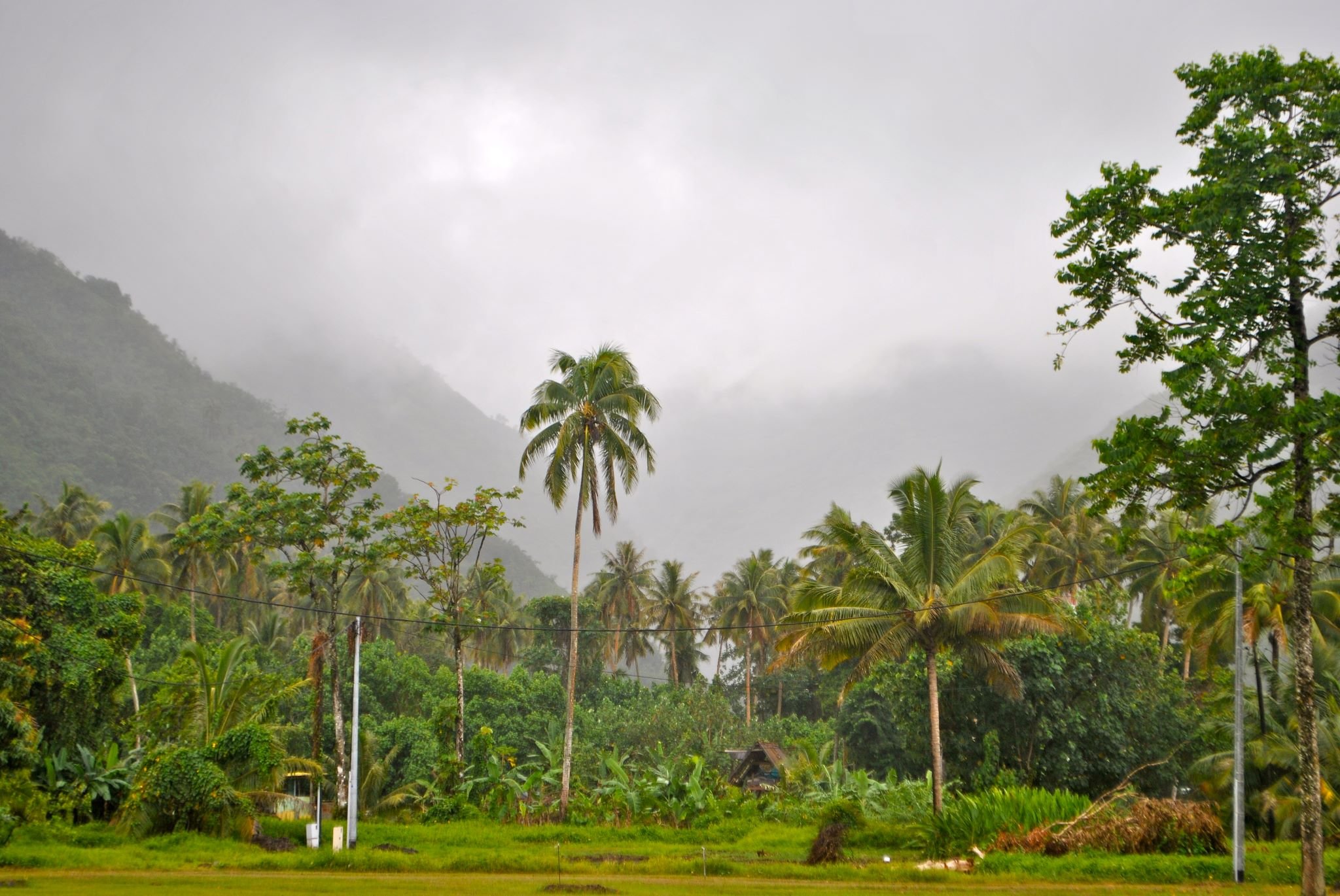 La vallée de Teahupoo