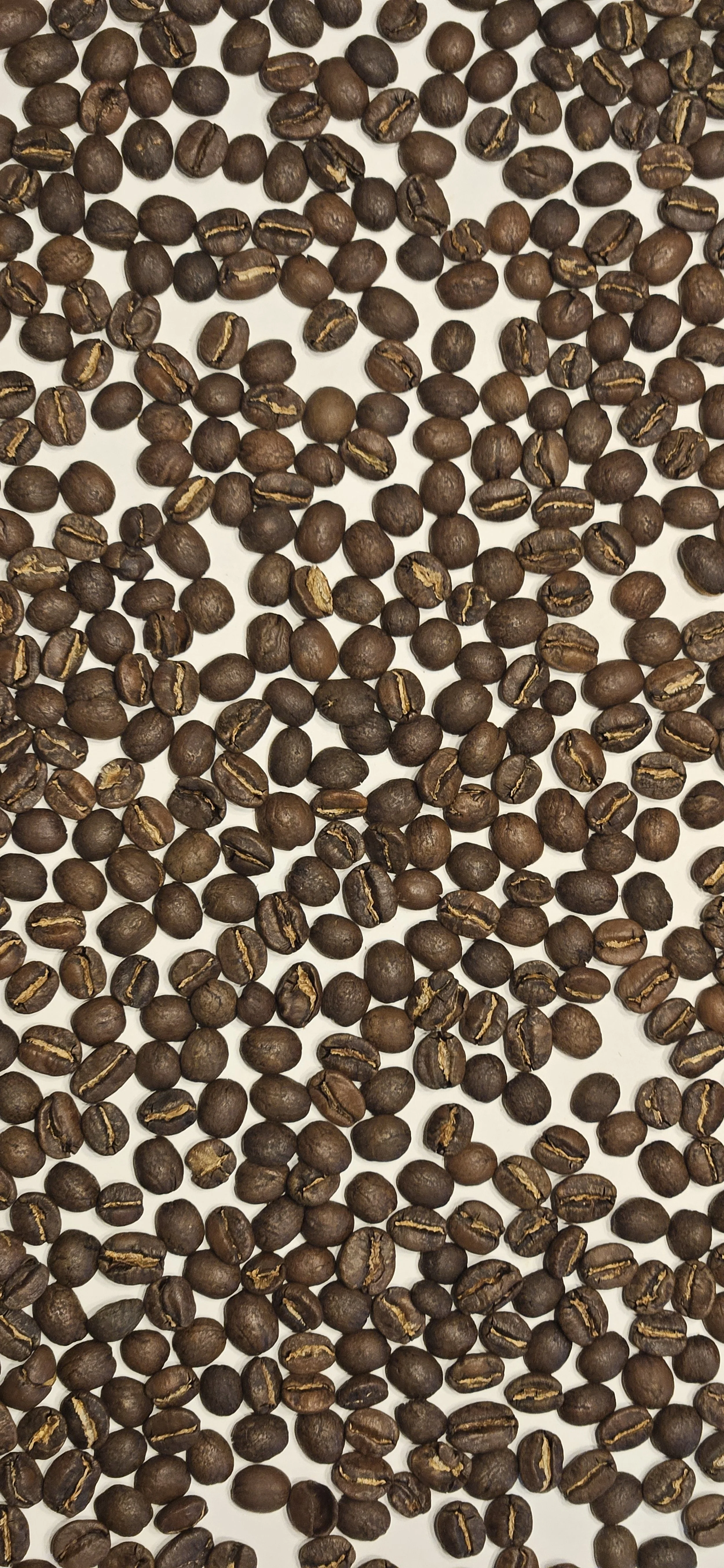 Roasted coffee beans scattered on a white surface