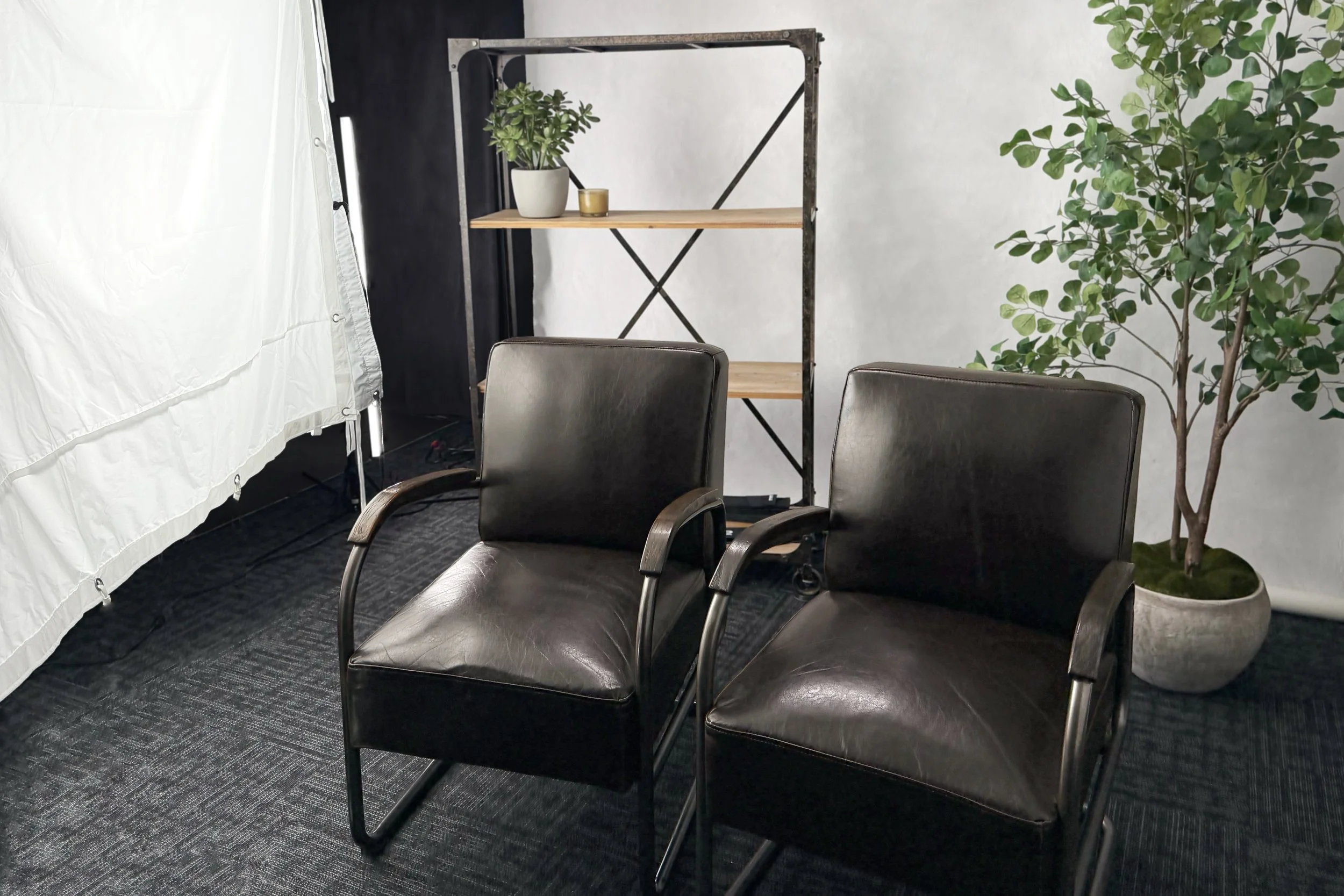 Two black leather chairs with metal armrests in front of a tall potted plant and a black metal shelf with wooden shelves and a potted plant on top.