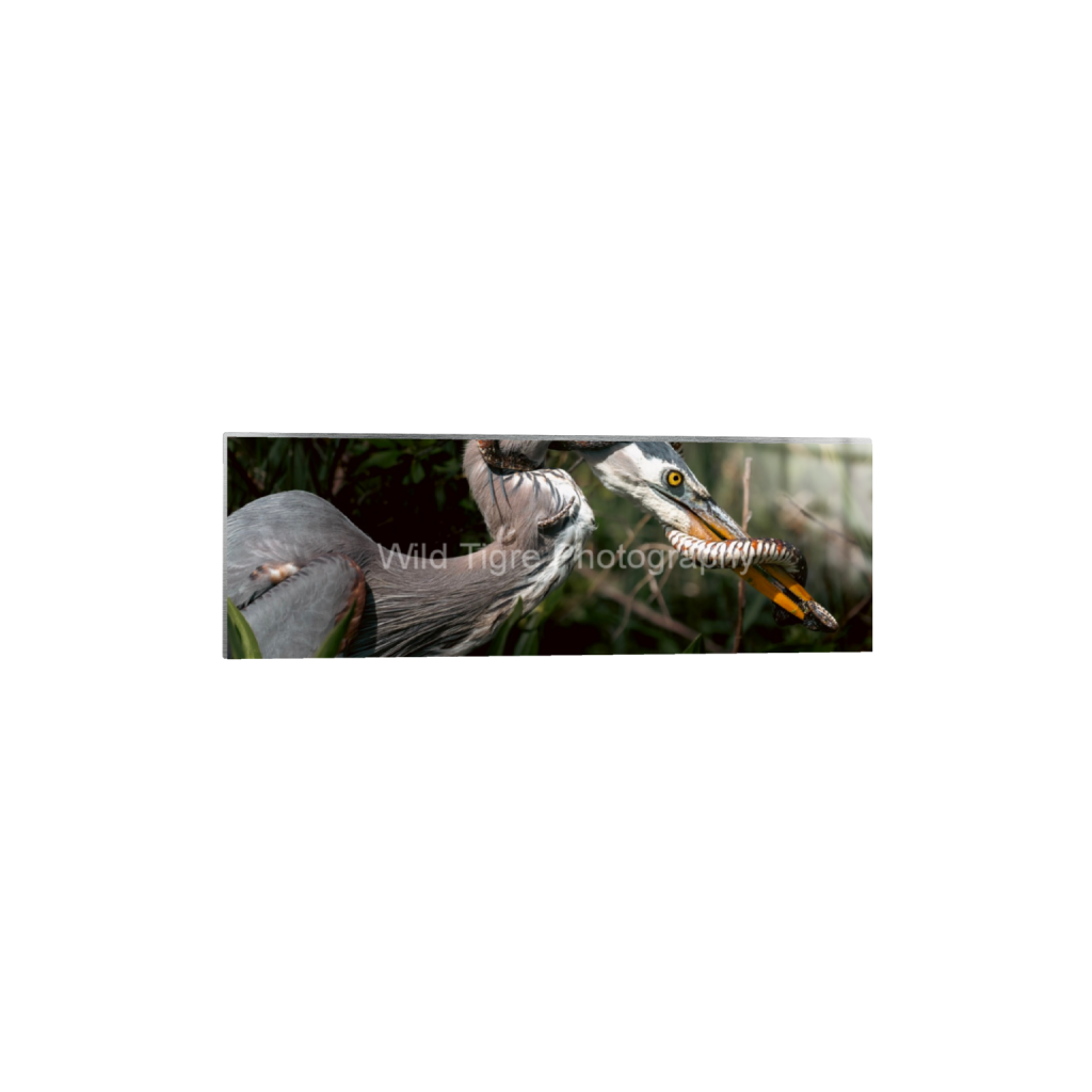 ptq_13_2_0_1062_6375_2125_0_false_ffffff_0_0_49f45fa50ac8ae372415c23a25f259dd.png