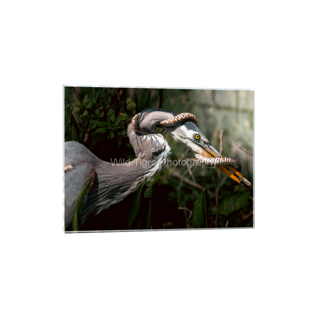 ptq_17_5_425_0_5666_4250_0_false_ffffff_0_0_49f45fa50ac8ae372415c23a25f259dd.png