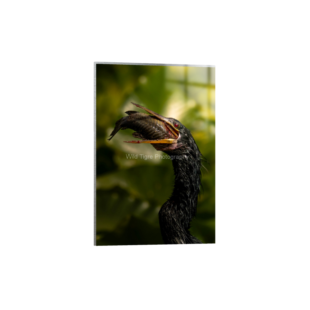 ptq_13_3_0_0_1521_2281_0_false_ffffff_0_0_49f45fa50ac8ae372415c23a25f259dd.png