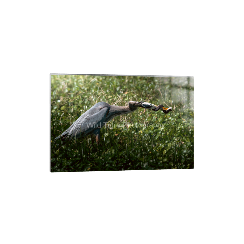 ptq_13_3_0_415_6236_4157_0_false_ffffff_0_0_49f45fa50ac8ae372415c23a25f259dd.png