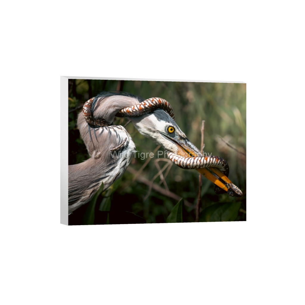 ptq_7_6_1999_339_4017_3214_0_false_ffffff_0_0_49f45fa50ac8ae372415c23a25f259dd.png