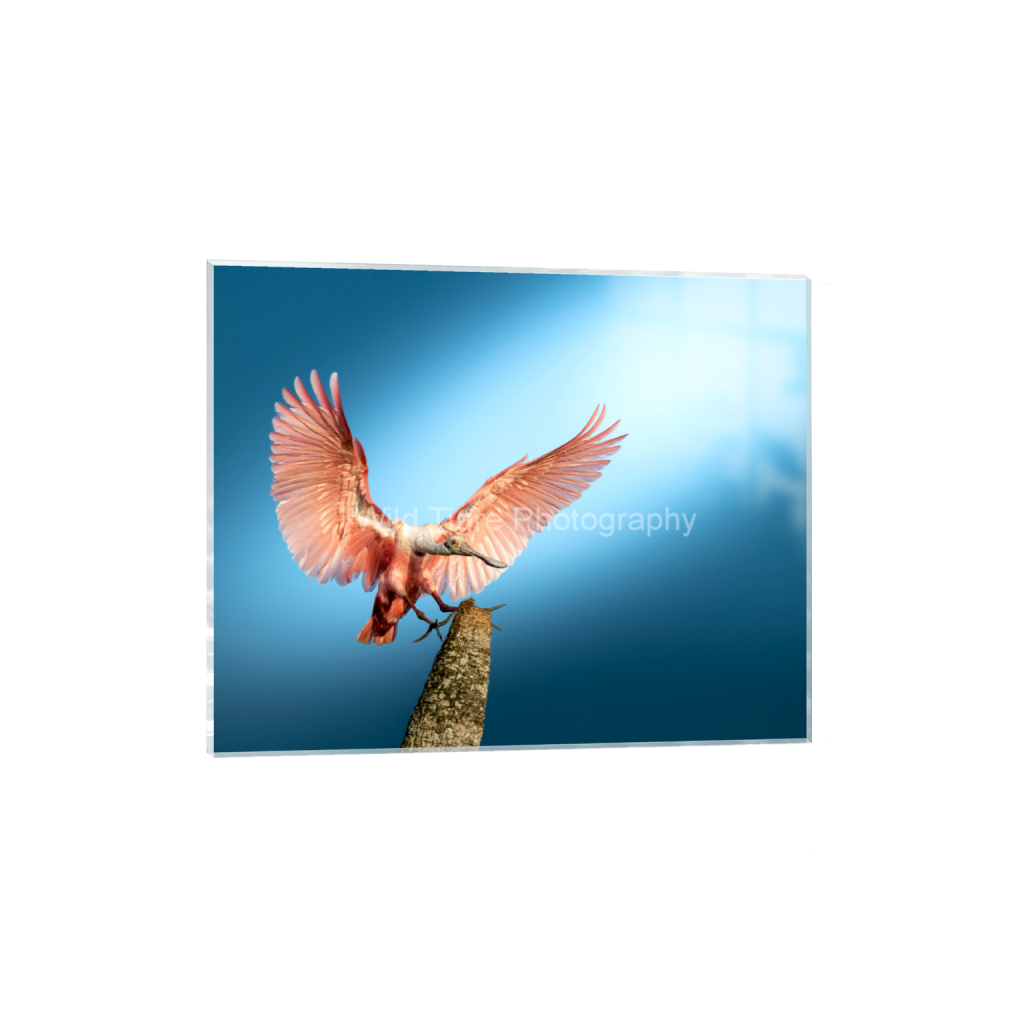 ptq_17_6_688_0_6880_5504_0_false_ffffff_0_0_49f45fa50ac8ae372415c23a25f259dd.png