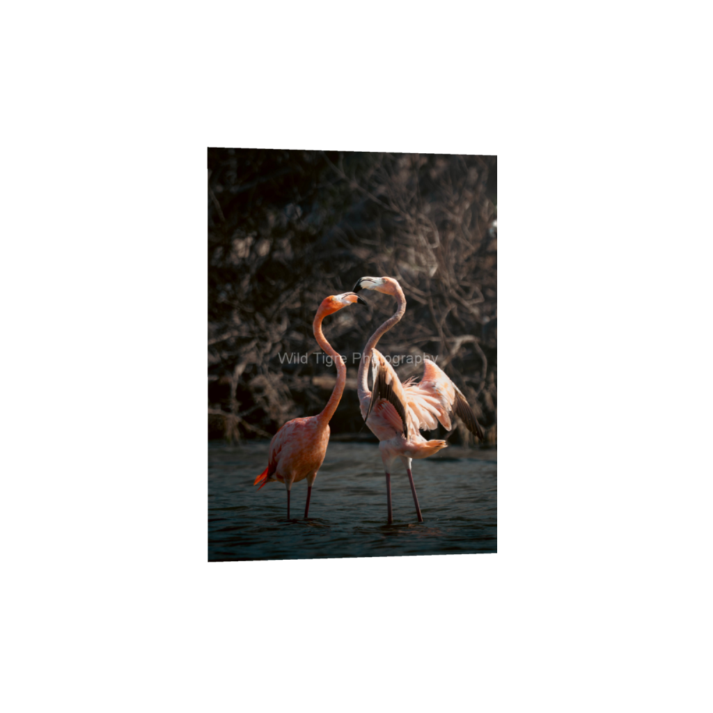 ptq_34_7_0_114_2298_3217_0_false_ffffff_0_0_49f45fa50ac8ae372415c23a25f259dd.png