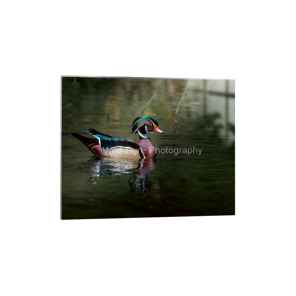 ptq_13_6_358_0_3586_2869_0_false_ffffff_0_0_49f45fa50ac8ae372415c23a25f259dd.png