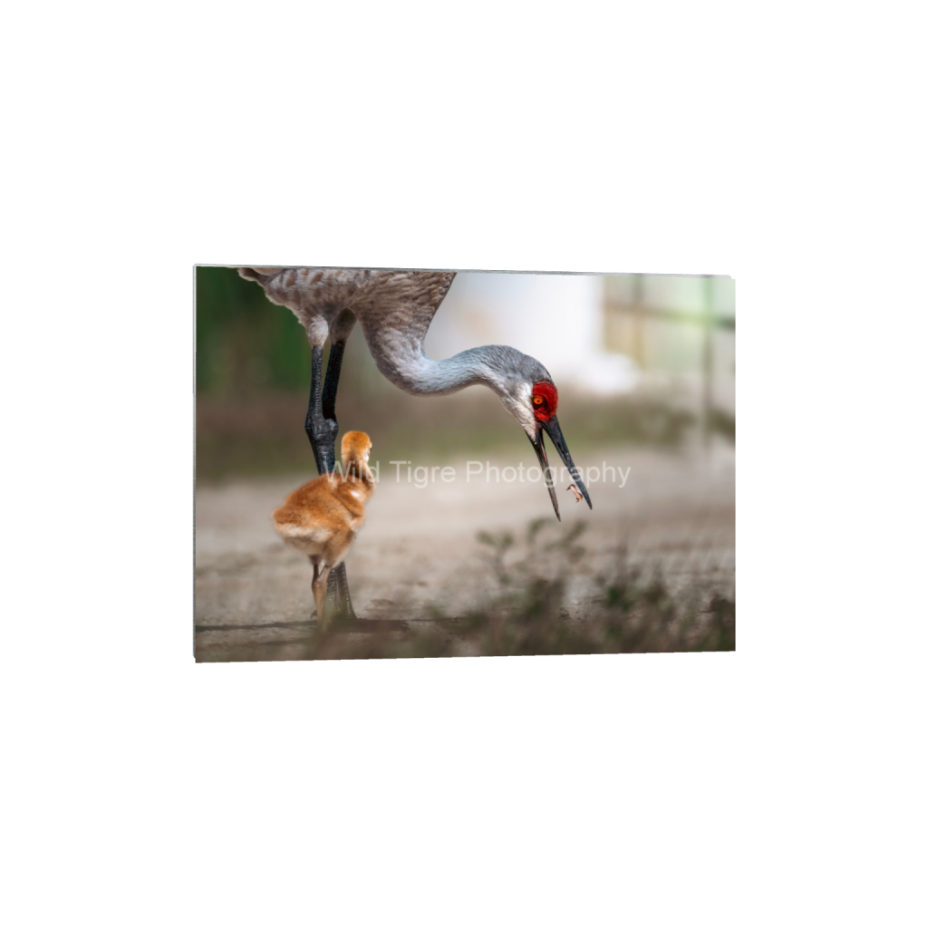 ptq_13_7_216_0_6057_4327_0_false_ffffff_0_0_49f45fa50ac8ae372415c23a25f259dd.png