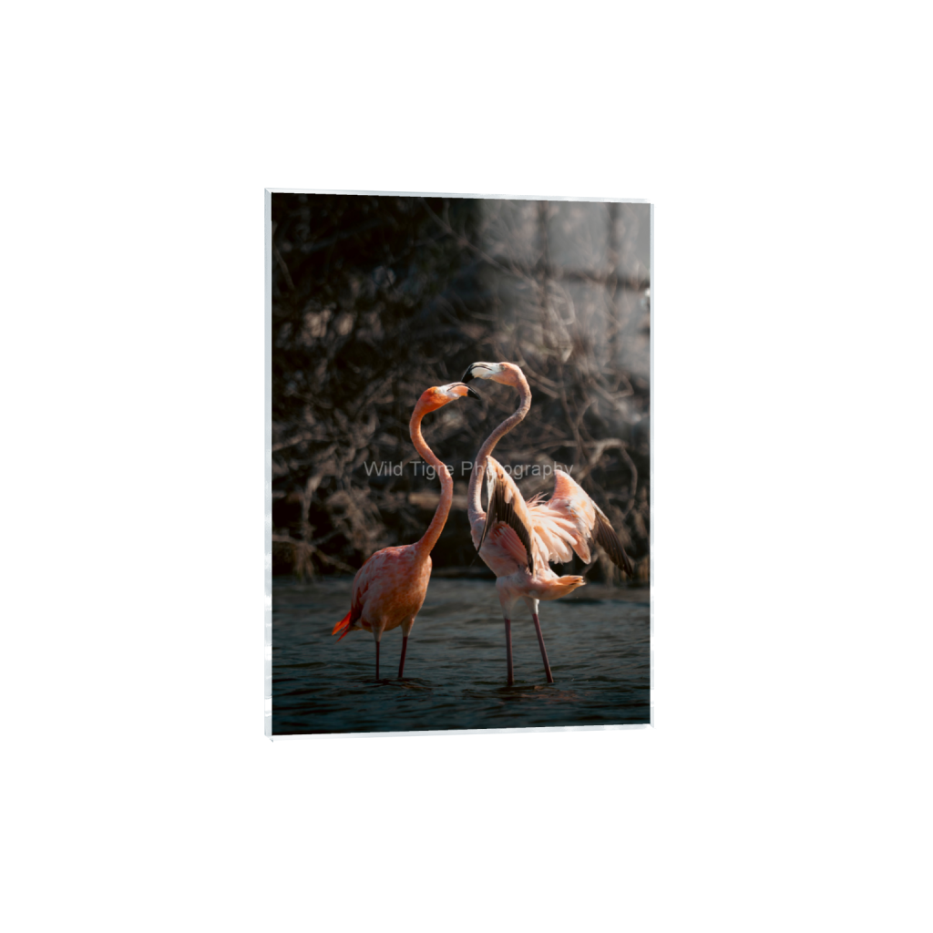 ptq_17_7_0_114_2298_3217_0_false_ffffff_0_0_49f45fa50ac8ae372415c23a25f259dd.png