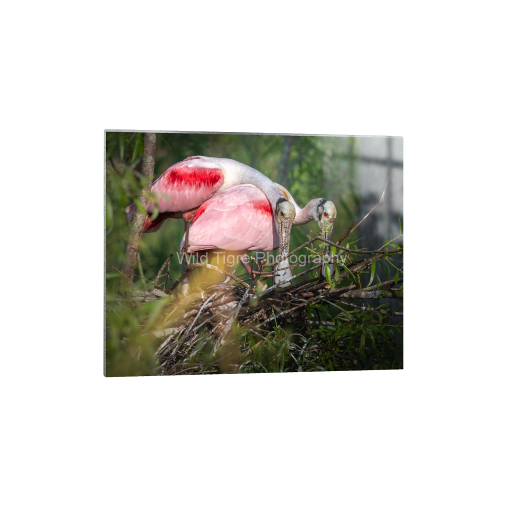 ptq_13_6_431_0_4316_3453_0_false_ffffff_0_0_49f45fa50ac8ae372415c23a25f259dd.png