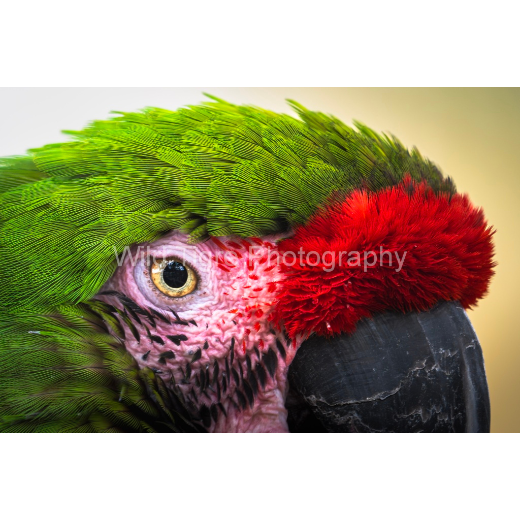 image_original_49f45fa50ac8ae372415c23a25f259dd.png