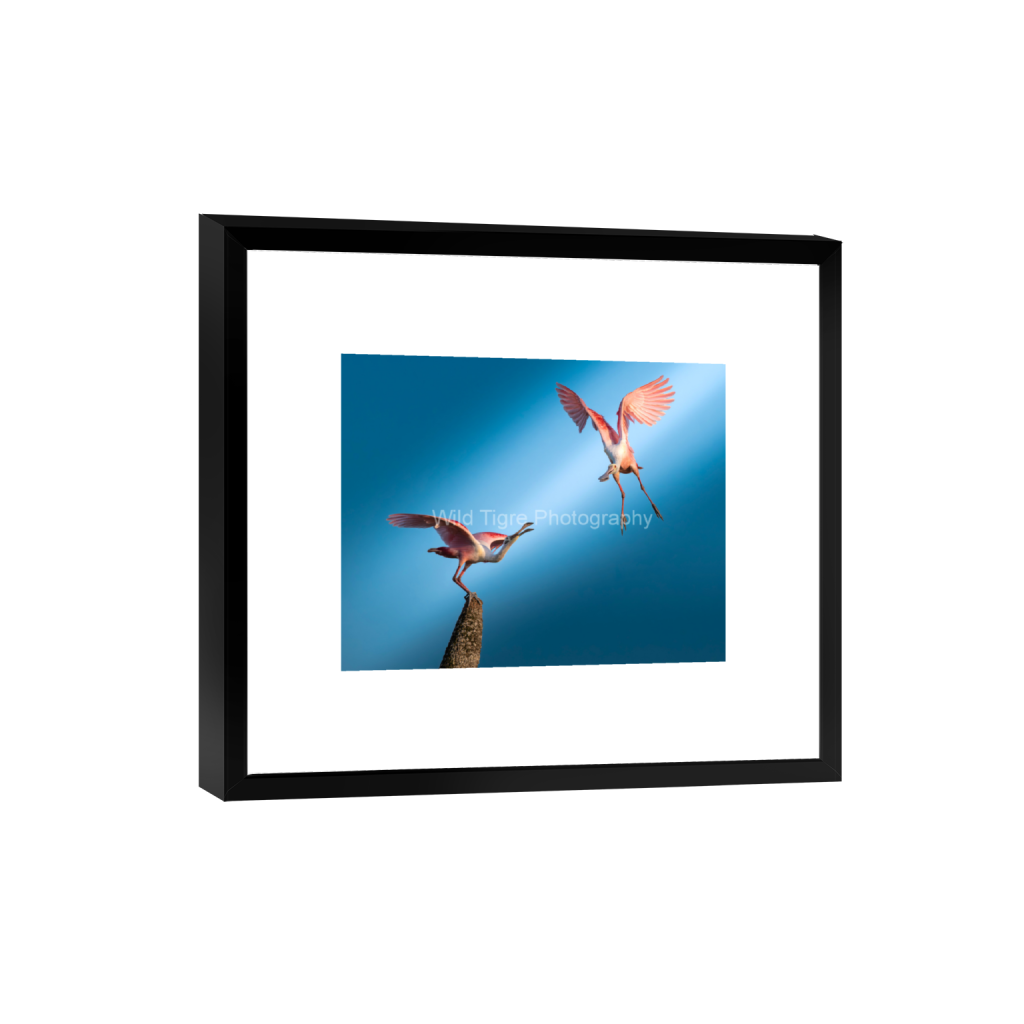 ptq_45_6_906_1717_4686_3749_0_false_ffffff_0_0_49f45fa50ac8ae372415c23a25f259dd.png