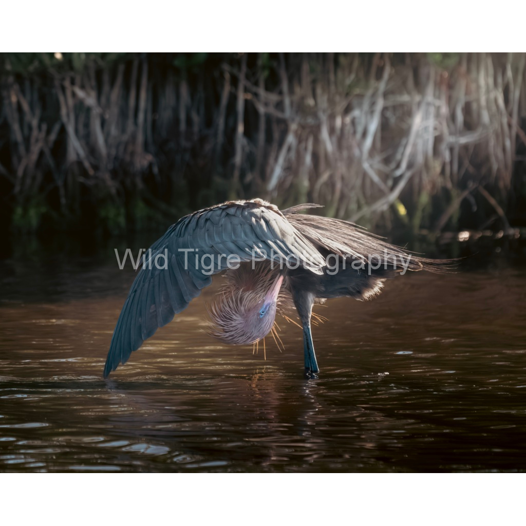 image_original_49f45fa50ac8ae372415c23a25f259dd.png