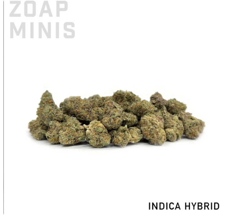 Zoap Minis Picture.png