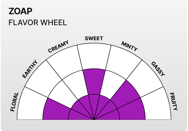 Zoap Flavor Wheel.png