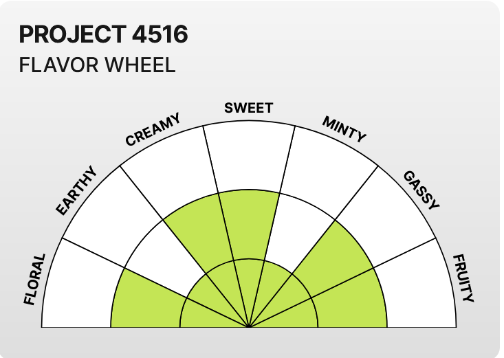 Project 4516 Minis Flavor Wheel.png