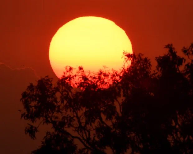 NSW Heatwave Alert: Extreme Temperatures Expected to Hit Low 40s This Weekend