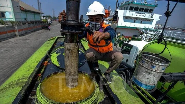 Export Fraud Allegations Rock Palm Oil Industry