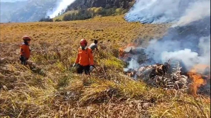 Access to Mount Bromo Shut Down as Firefighting Efforts Continue