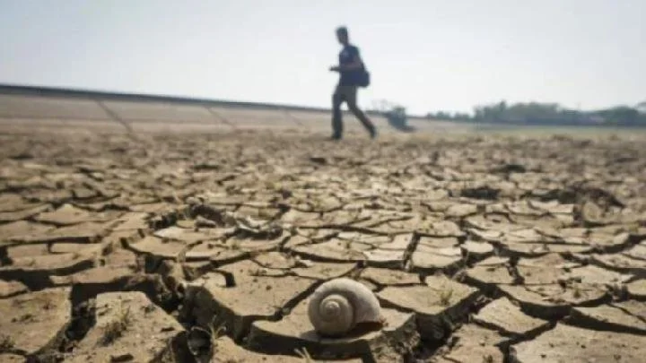 South Korea Deploys 200 Water Tankers as South Gyeongsang Drought Worsens