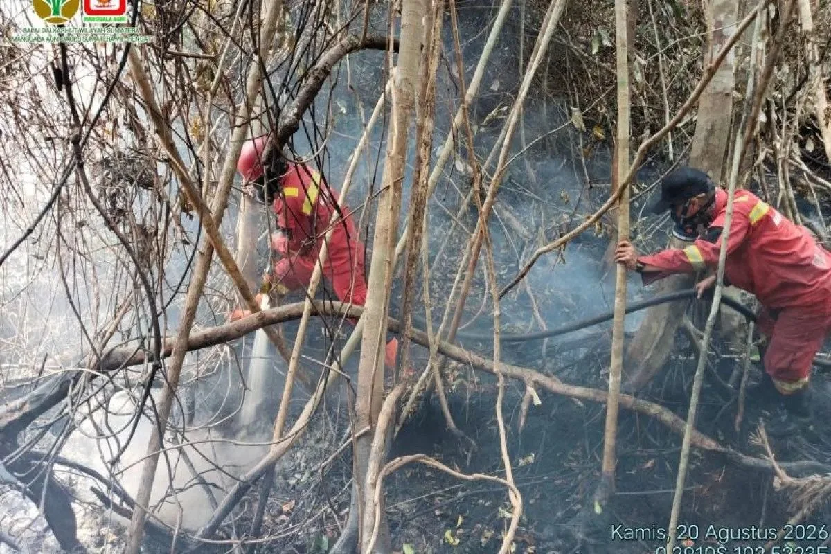 Air Quality Improves in Pekanbaru, BNPB Reports