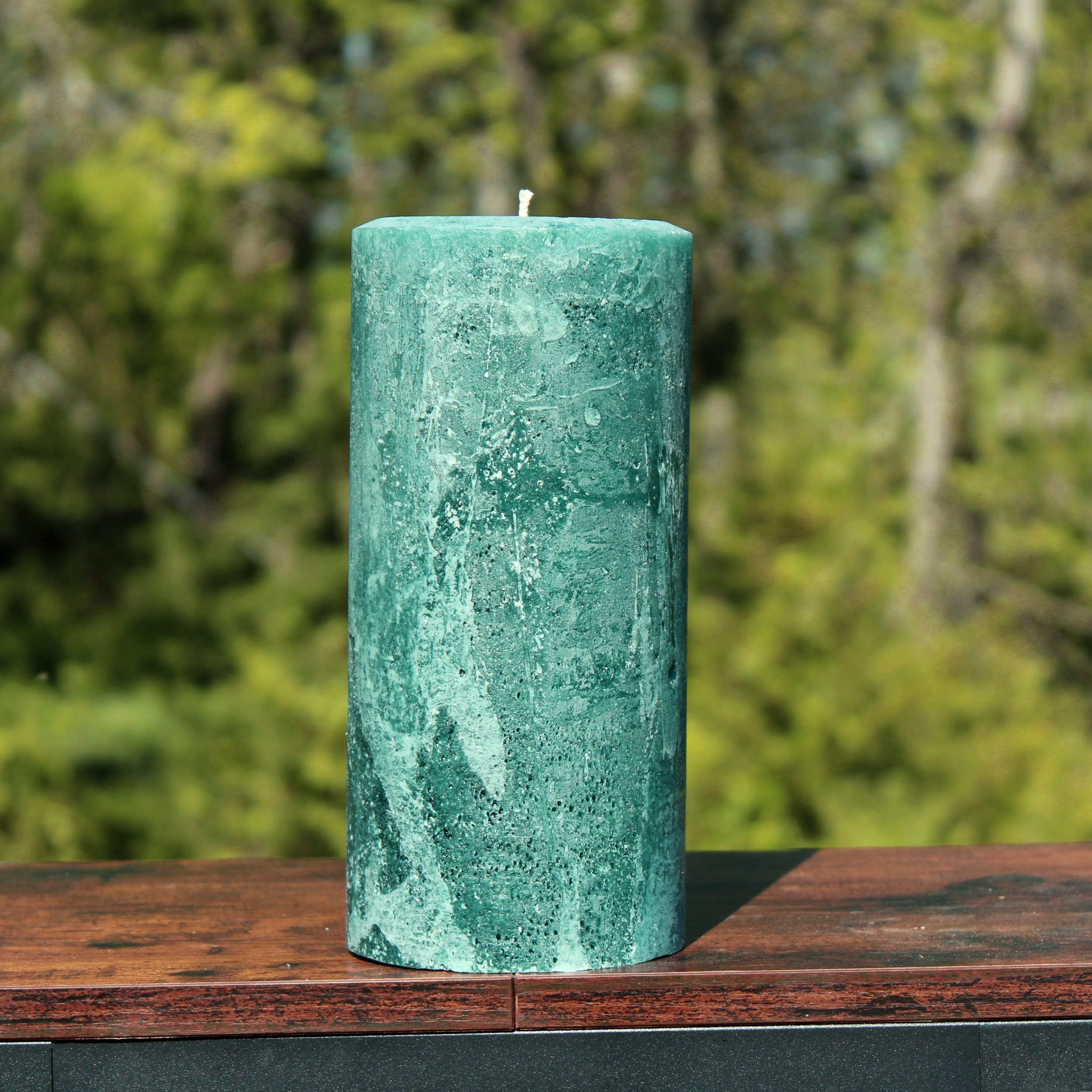 celadron IMG_9175.jpg