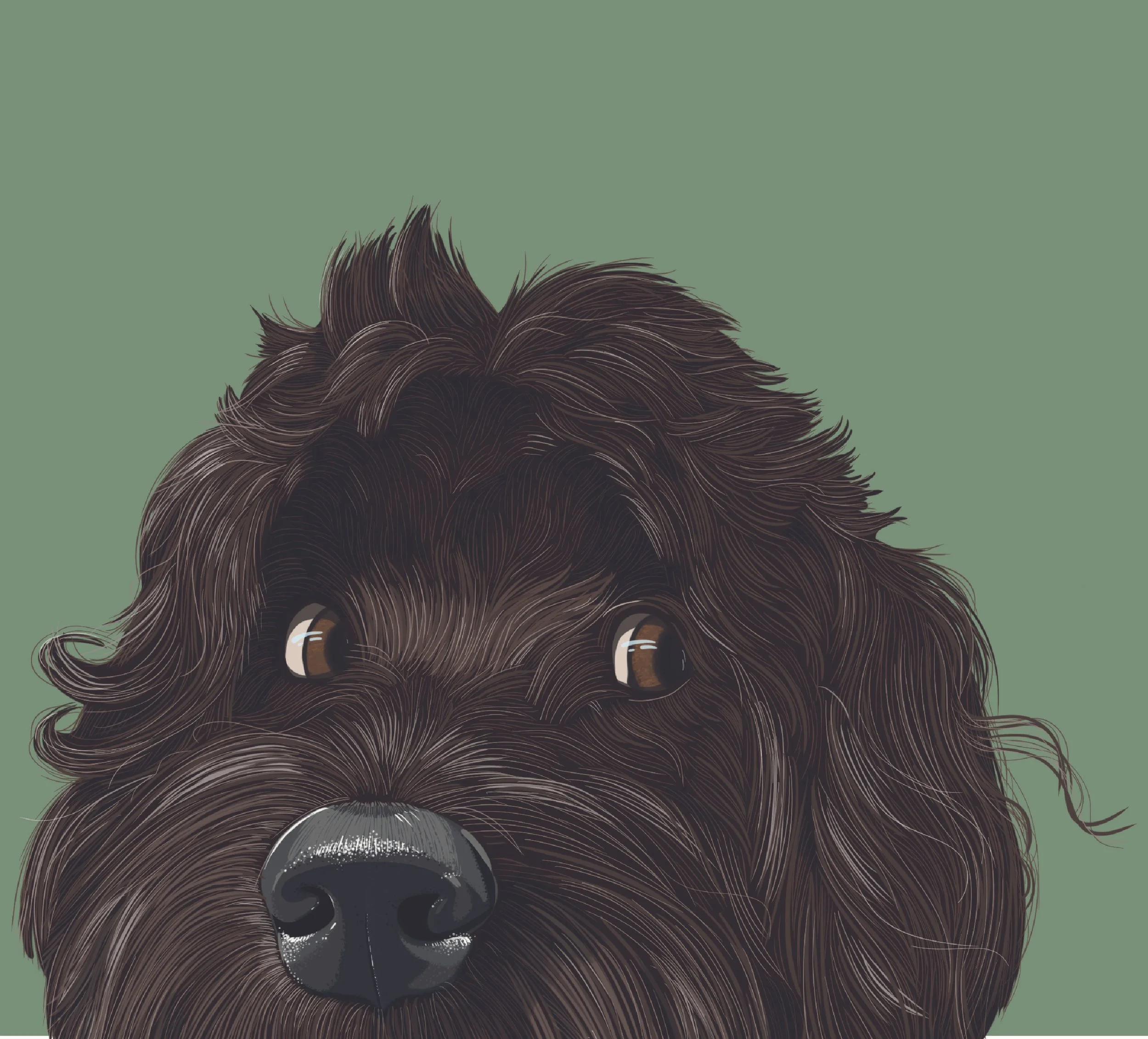 Cockapoo-close-up.jpg