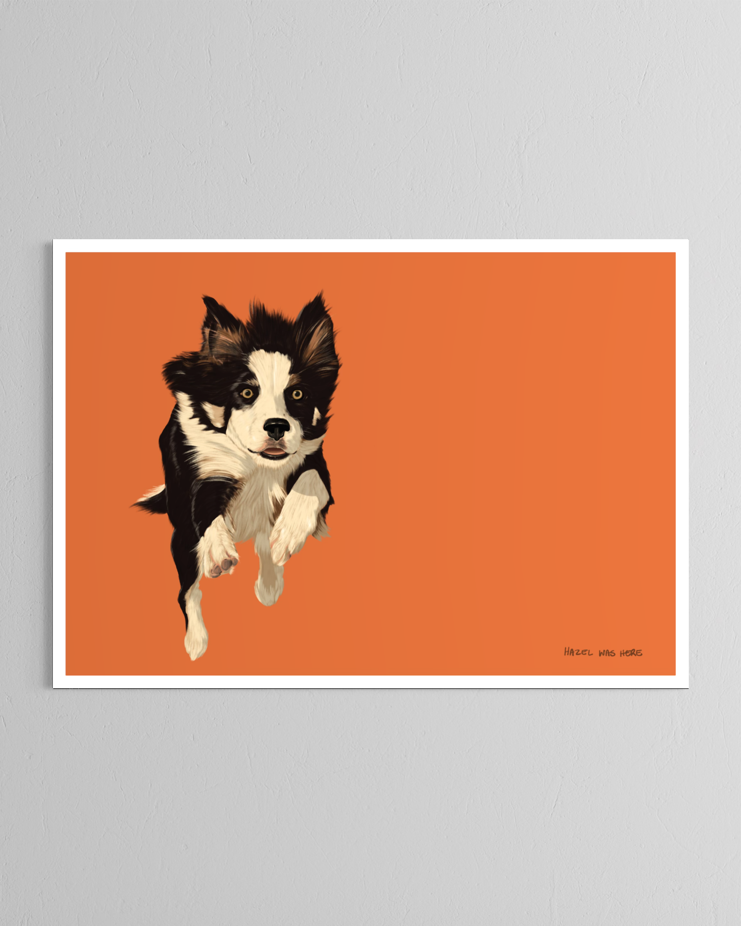Collie-poster.png