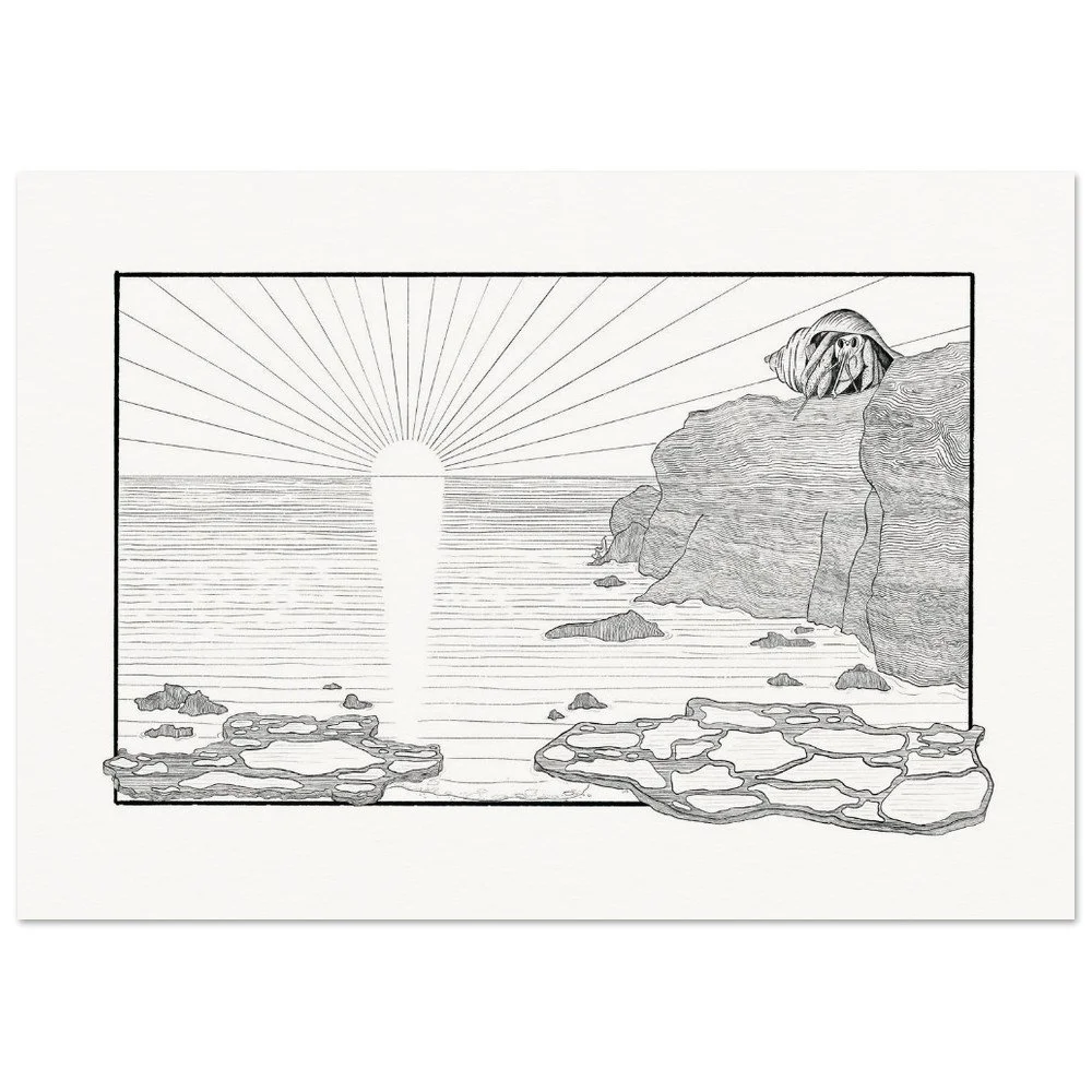 fine-art-print-of-hermit-crabt