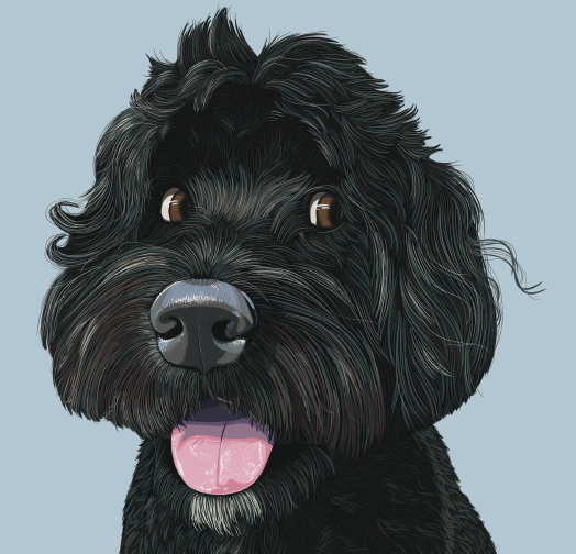 Digital illustration of a black dog with a pink tongue, detailed fur, and a light blue background.