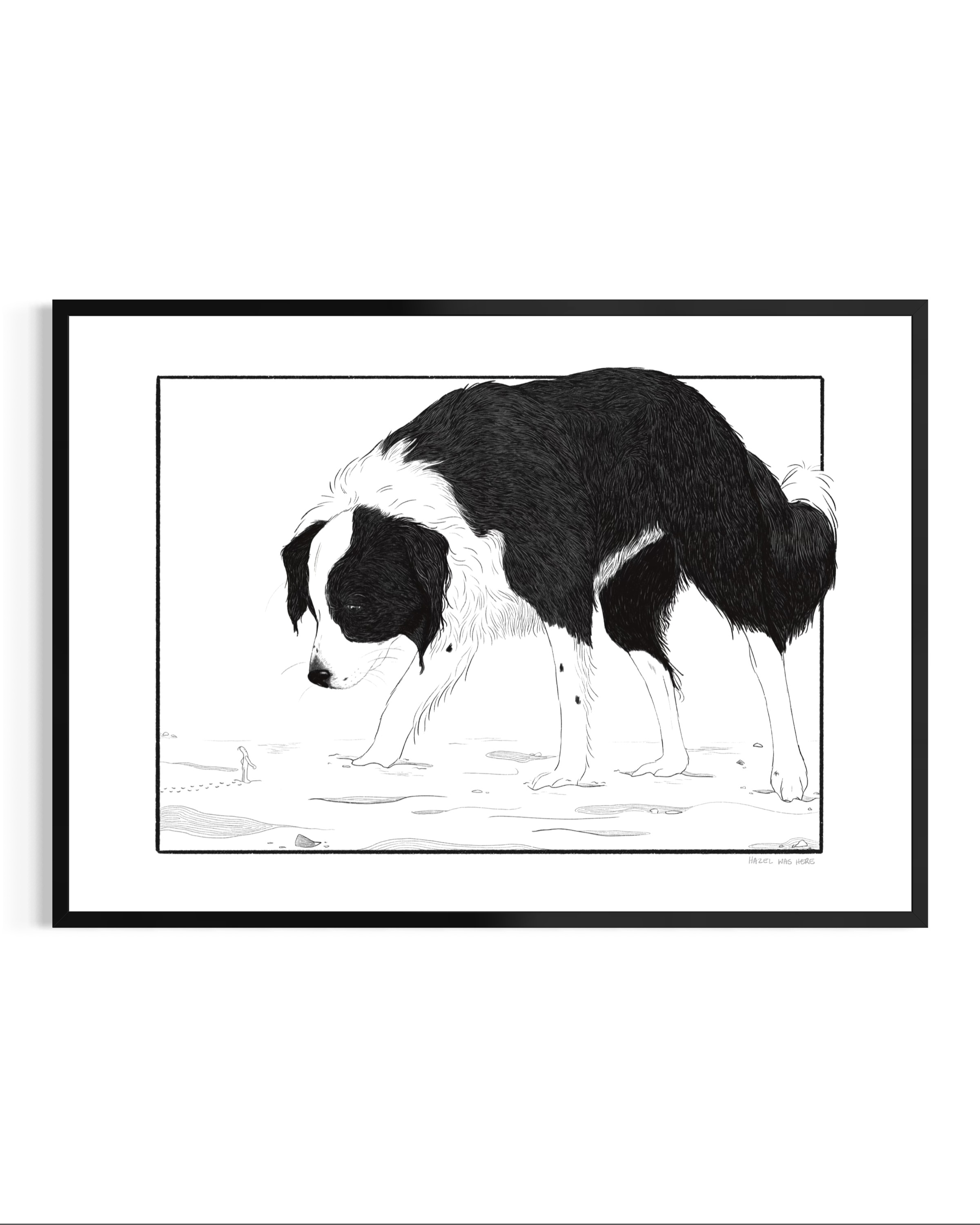 border-collie-black-frame.PNG
