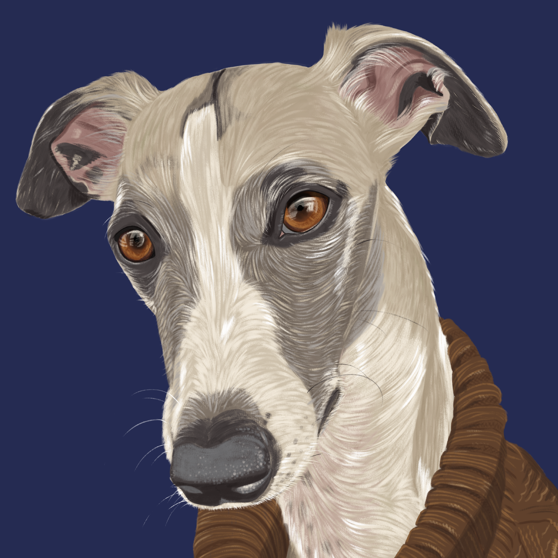 Turtle-neck-whippet.png