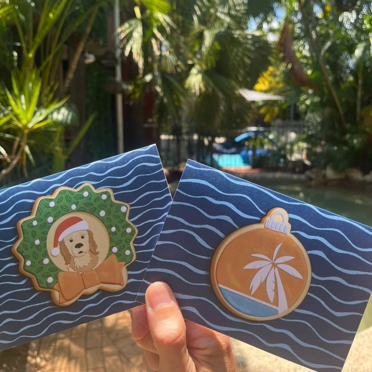 Hazel was here custom Christmas cards for Dreamtime hostel in Cairns Australia.