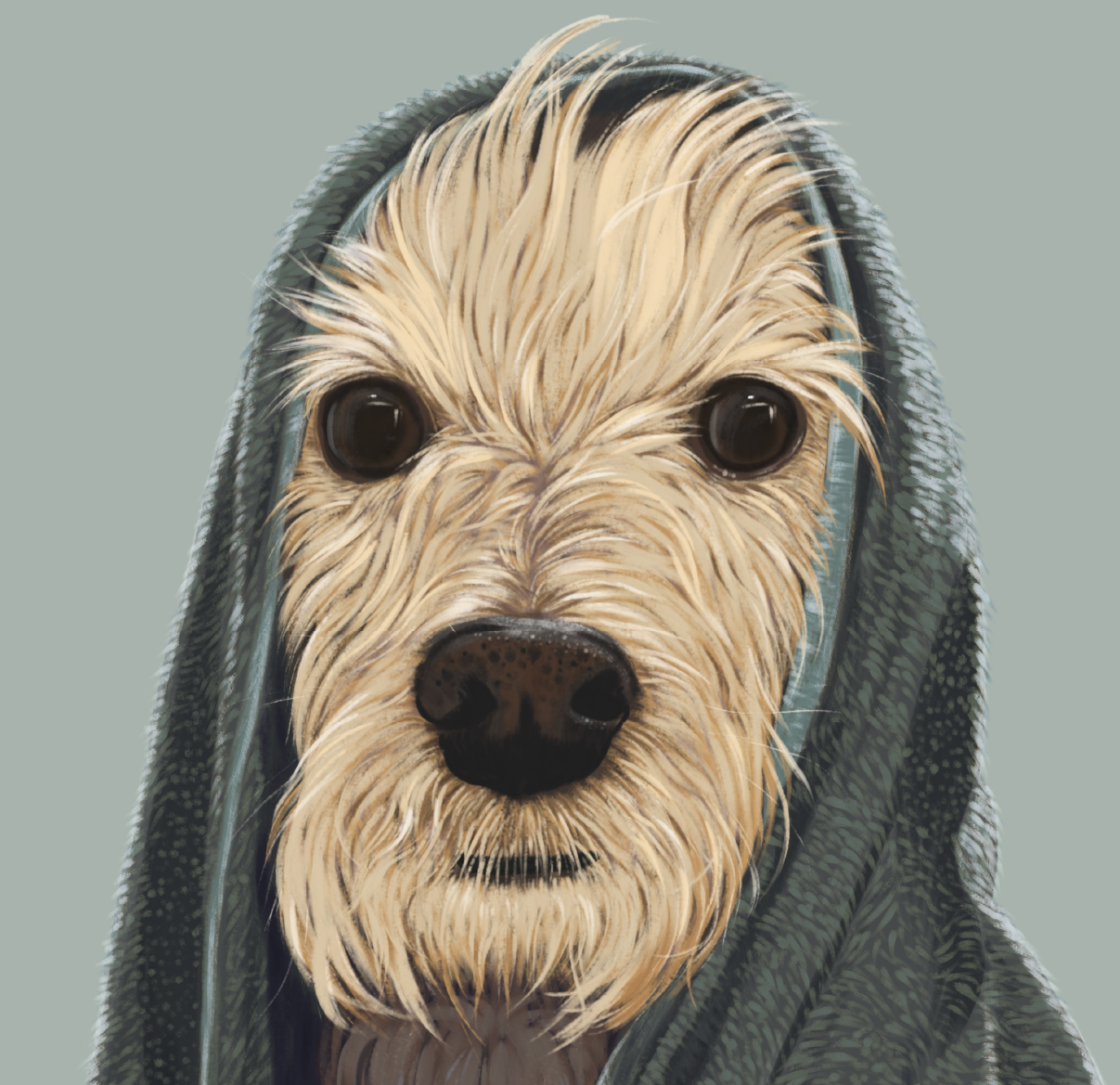 scruffy-wet-dog-green.png