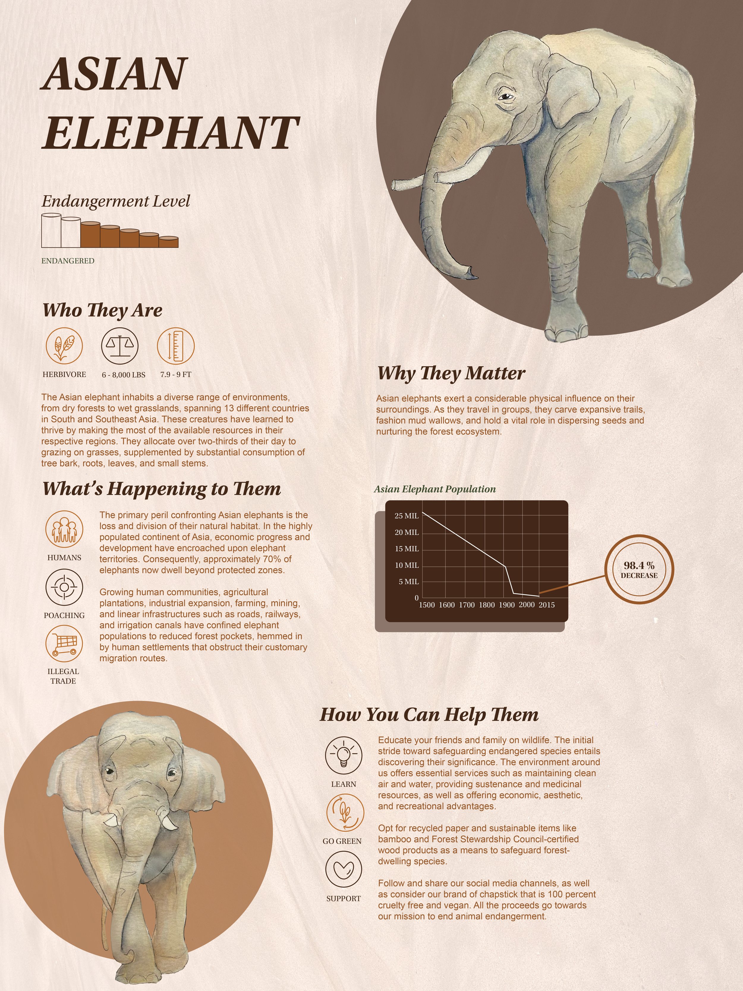 Wild Cause_Infographics_Redesign2.jpg