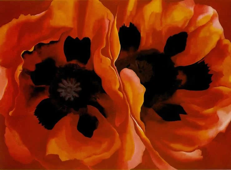 Oriental Poppies (O'Keeffe)