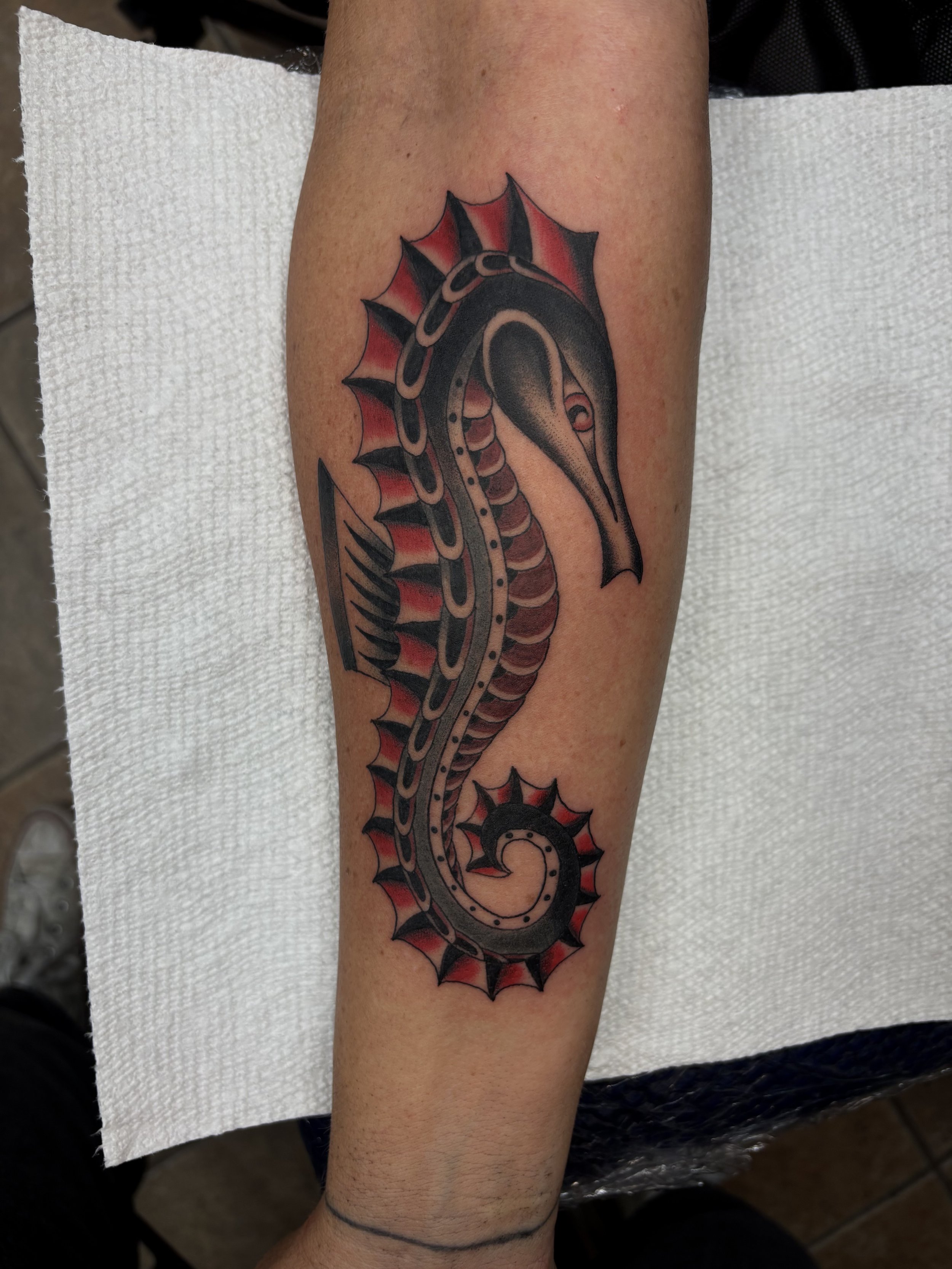A detailed tattoo of a seahorse with a black, red, and gray color scheme on a person's forearm.
