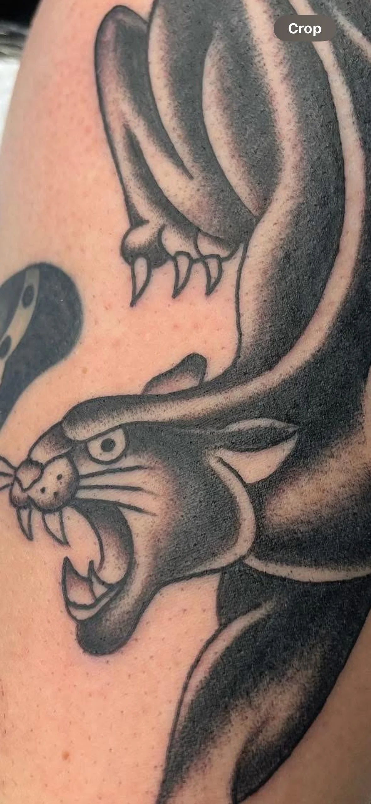 Black and gray tattoo of a snarling panther's face, with detailed shading, on a person's arm.