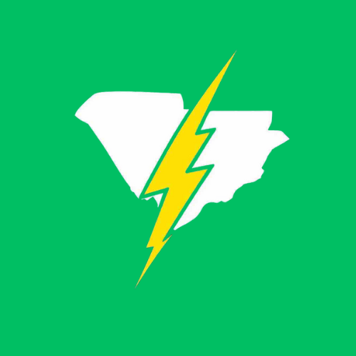 Future Electric
