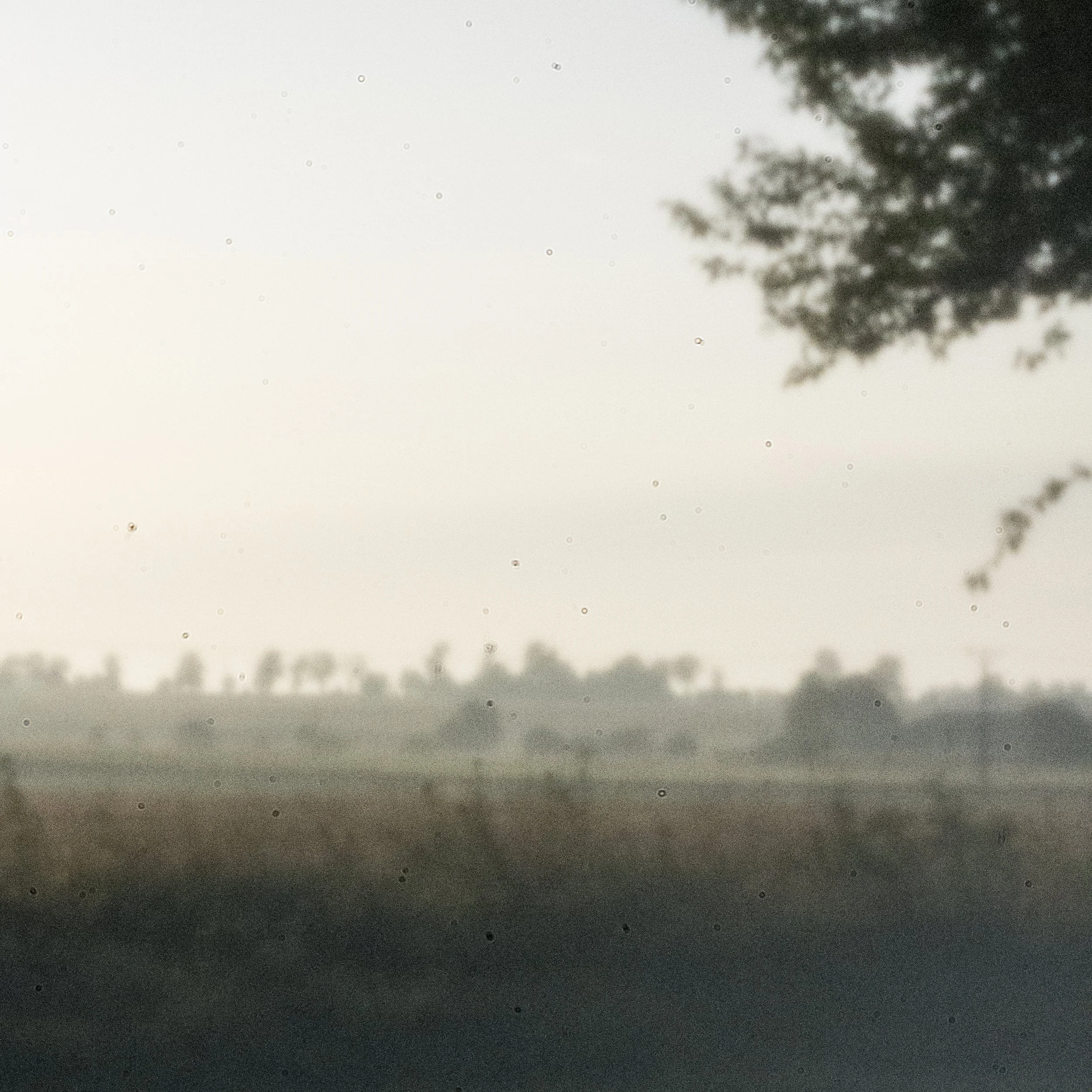 CZĘŚĆ KIERUNKOWA (16).JPG