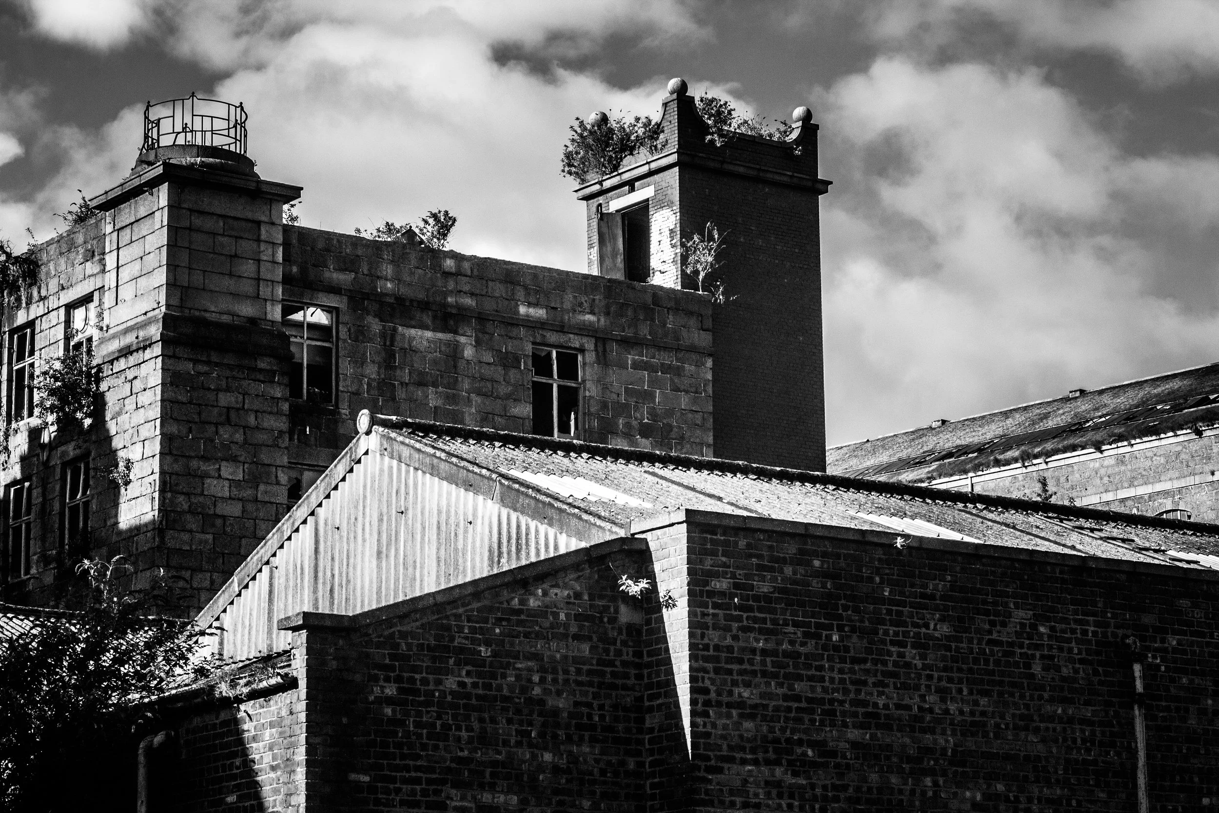 _MG_9033.jpg