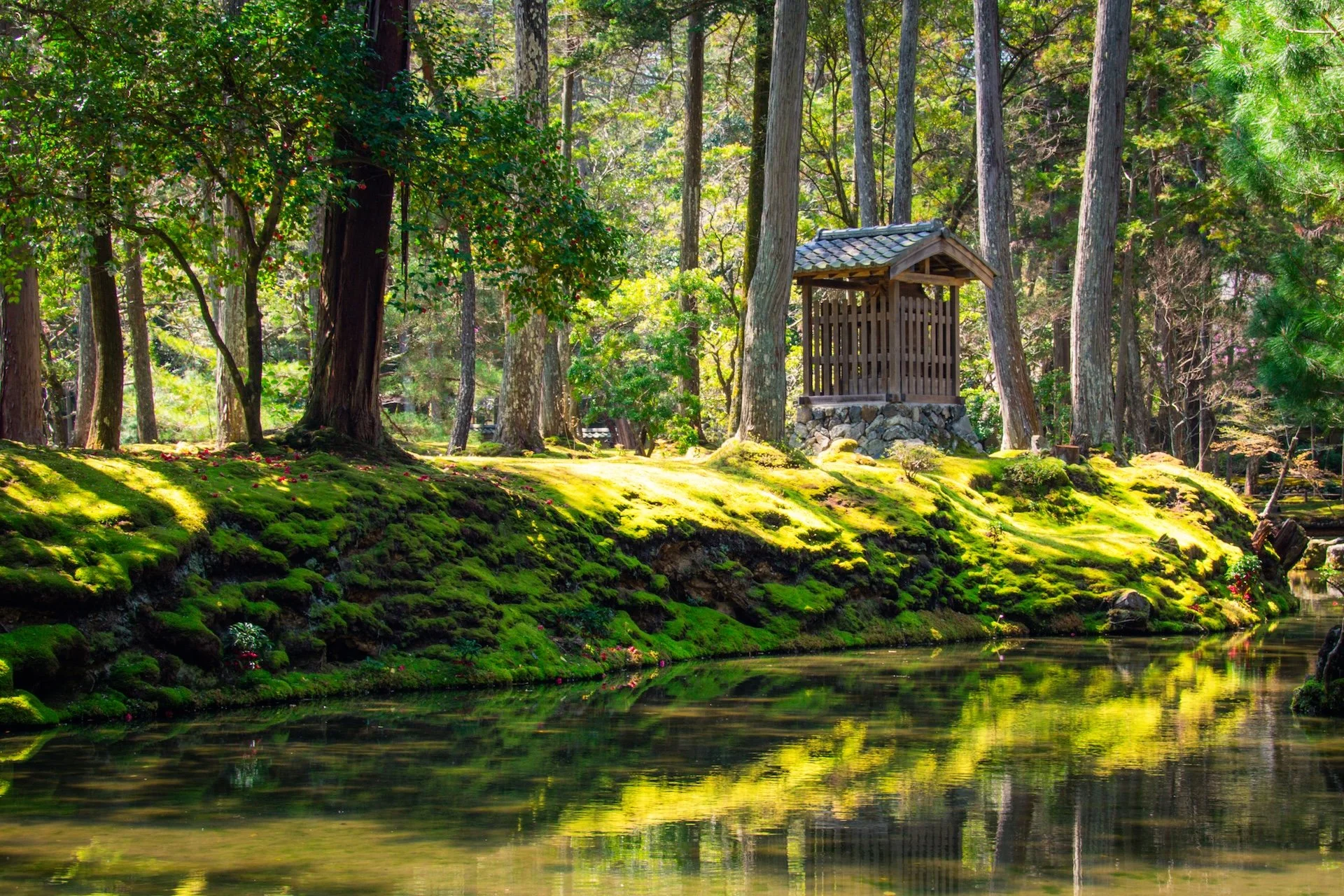 Saihoji Kokedra in Kyoto, Japan