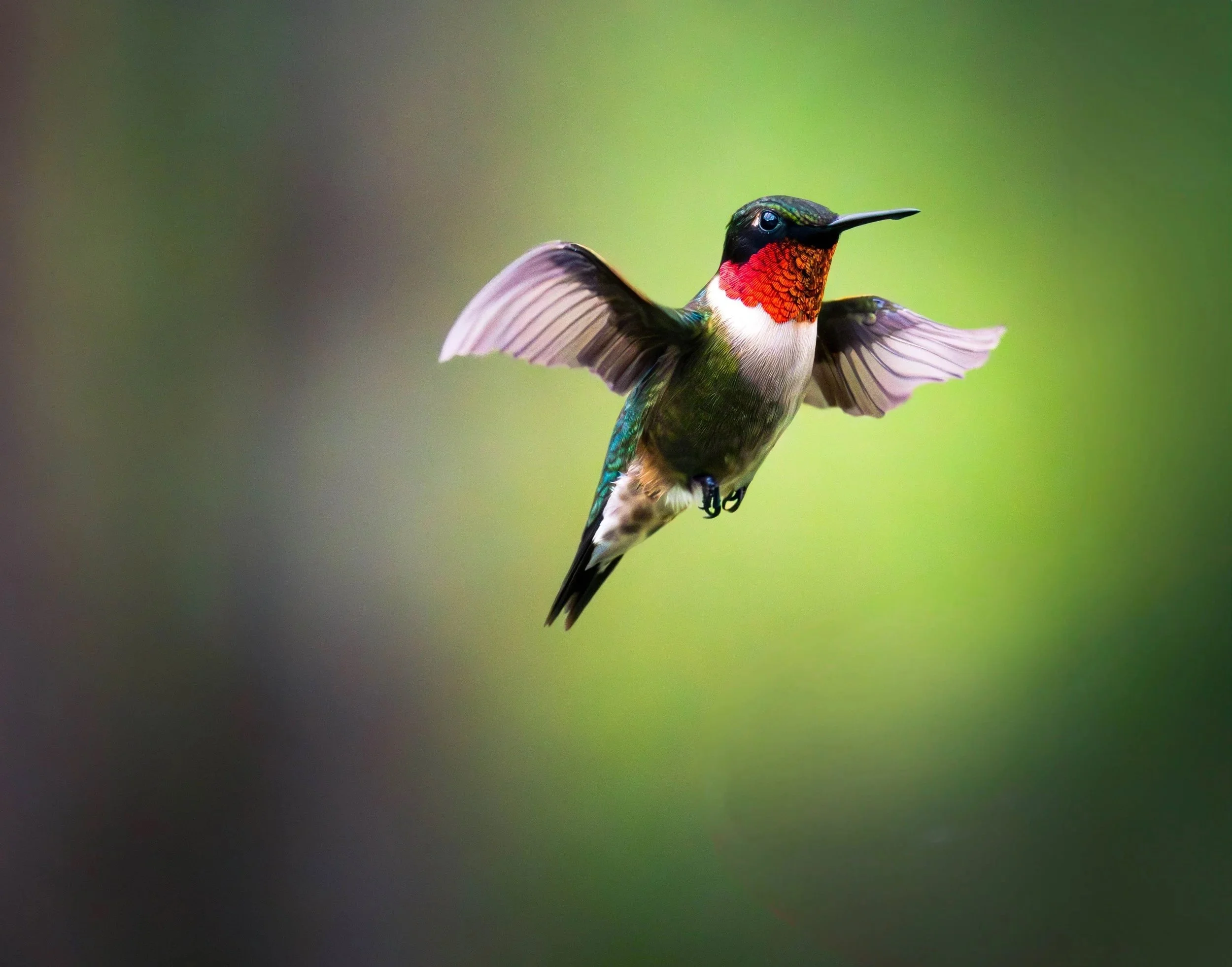 3H3A0315-Enhanced-NR-Edit_Original.jpg